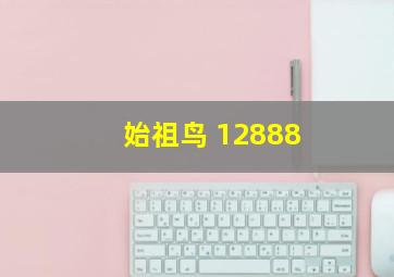 始祖鸟 12888